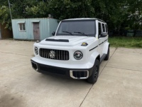 Véhicule électrique tout-terrain robuste à basse vitesse, SUV électrique fermé 5 places pour les trajets domestiques et les activités de plein air sur de courtes distances