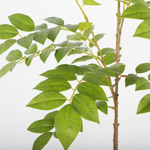 Mô Phỏng Lớn Lá Chi Nhánh Cho Khách Sạn Nhà Trang Trí Nhân Tạo Bất Cảm Ứng Lá Chi Nhánh Nhân Tạo Nhà Máy Cây Trong Bán Nóng - Product Image 5