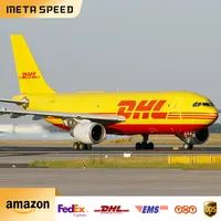 China Shipping Agent DDP Tür-zu-Tür-Service Spediteur nach Dubai UAE Mittlerer Osten Amazon FBA Ali VAE Online-Shopping