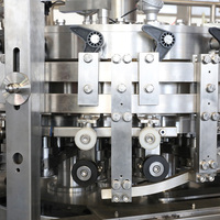 Solution complète d'emballage automatique électrique pour eau gazeuse en conserve, avec moteur PLC, pompe CO2/bière, économie d'énergie, plastique, métal