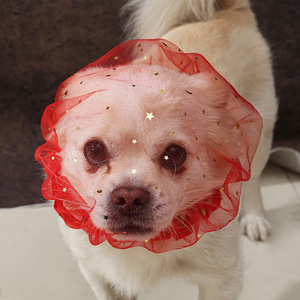 <span class=keywords><strong>Bozal</strong></span> de malla transpirable sólido Star Shower Cap para perros pequeños y medianos - Evita la ingestión accidental y el lamido - Lavable a mano - Product Image 6
