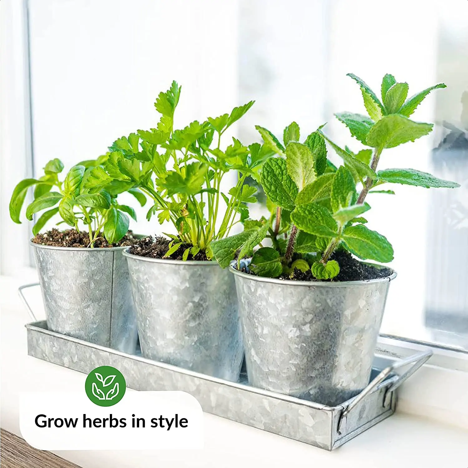 Herb Pots for Indoor Plants with Tray | Grow Fresh Herbs at Home | Galvanized Window Sill Planters Indoor | Indoor Herb Planter