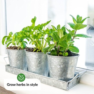 Pots d'herbes pour plantes d'intérieur, 12 pièces, avec plateau, culture <span class=keywords><strong>de</strong></span> herbes fraîches pour la maison - Product Image 1