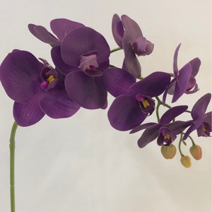 Bunga anggrek kupu-kupu anggrek <span class=keywords><strong>Phalaenopsis</strong></span>, dekorasi rumah pernikahan H-573 9 Kepala dan 6 kepala dilapisi lateks sentuhan asli - Product Image 1