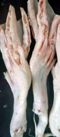 Machine de découpe de pieds de poulet en acier inoxydable, Machine d'ouverture de coupe de griffe de poulet, Machine à désosser