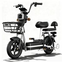 Scooter Eléctrico Ligero de Dos Plazas en Oferta, Batería de Litio de 48V, Bicicleta Eléctrica para Viajes Urbanos Cortos