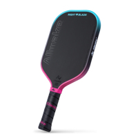 Raquette de pickleball ALLWAKE en carbone brut T700, couleur dégradée, 16 mm, professionnelle, approuvée USAPA, pressée à chaud