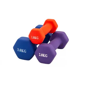 高品質のカスタマイズされたネオプレンコーティングされた六角ダンベルセット男性女性のための重量挙げ運動のための1kg4kgスチールダンベル家