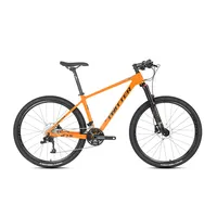 Carbon Mountain Bike, 29 inch