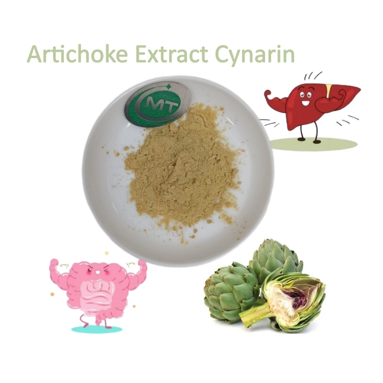 Top Quality Free Sample Bulk Inulin