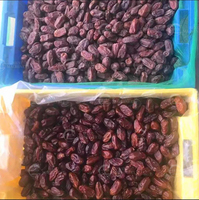 Gedroogde Dadels Reinigen Dadelpalm Wassen Zachte Borstel Plant Data Polijstmachine