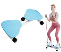 Plateforme d'exercice silencieuse à double pédale pour la taille, disque de torsion pour la taille, planche d'équilibre en ABS+Acier, unisexe