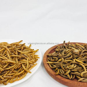 Vers de farine frais en conserve, riches en protéines, nourriture prête à l'emploi pour poissons d'aquarium, vente en gros pour reptiles et oiseaux, aliment naturel riche en protéines - Product Image 3