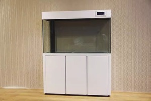 <span class=keywords><strong>Acquario</strong></span> Rettangolare in Vetro <span class=keywords><strong>di</strong></span> Medie Dimensioni Personalizzato 500L-1000L con Luce LED, Filtro a Ciclo Continuo e Silenzioso per Grandi Pesci - Product Image 6