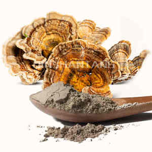 QST-005 Bubuk Jamur <span class=keywords><strong>Turkey</strong></span> <span class=keywords><strong>Tail</strong></span> Grosir Larut dalam Air 100% Bubuk Jamur <span class=keywords><strong>Turkey</strong></span> <span class=keywords><strong>Tail</strong></span> - Product Image 1