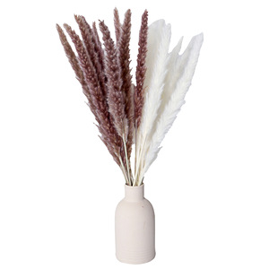 Lovebay Vente en gros roseau séché naturel 45cm blanc gris <span class=keywords><strong>pampa</strong></span> sec naturel <span class=keywords><strong>pampa</strong></span> <span class=keywords><strong>herbe</strong></span> petit roseau séché <span class=keywords><strong>pampa</strong></span> <span class=keywords><strong>herbe</strong></span> pour la maison déco - Product Image 1