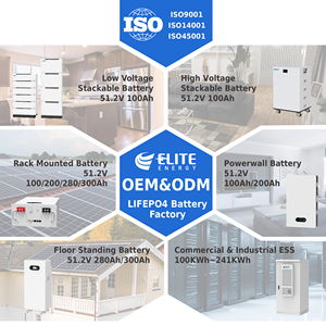 ELITE Lifepo4 15Kwhリチウムイオンバッテリー ラックマウント型 48V 51.2V 300Ah <span class=keywords><strong>Li</strong></span>イオンLFPバッテリー 太陽光発電家庭用蓄電システム用 - Product Image 6