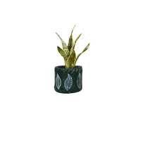 Pot de fleurs décoratif d'intérieur pour bureau, support élégant noir pour plantes vertes, décoration de table pour salon