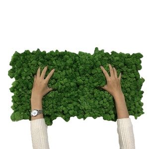 Décoration intérieure, mur végétal, décoration de bureau, plantes naturelles réelles, panneau de mousse stabilisée et préservée - Product Image 1