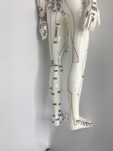 Enseignement médical acupoint <span class=keywords><strong>Acupuncture</strong></span> Femelle Humain Femmes Modèle Image PVC Matériel Maniking enseignement outil d'<span class=keywords><strong>acupuncture</strong></span> - Product Image 4