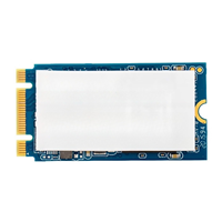 SSD SATA M.2 2242 SL700 128 Go 256 Go 512 Go pour Ordinateur Portable, Mini PC et Ordinateur Industriel