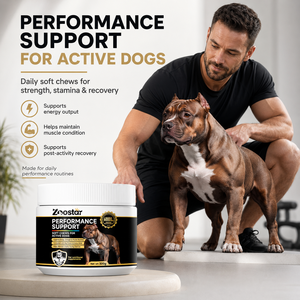 Suplemento para el Cuidado de la Salud de Mascotas de Marca Privada OEM/ODM, Golosinas Blandas para Perros, Aumento de Masa Muscular, Proteína Natural, Ganador de Peso - Product Image 2