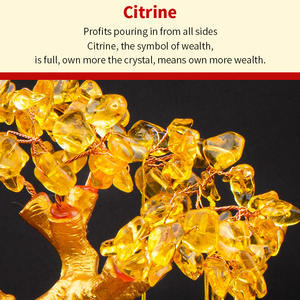 Nueva llegada resina decoración madera maciza Base Feng Shui dinero árbol cristal dinero árbol estatuilla - Product Image 6