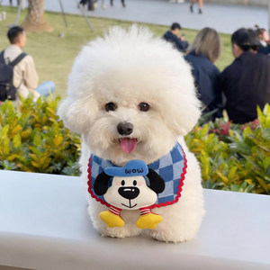 Baberos para mascotas, chales, juguetes de peluche 3D para perros, baberos para la baba, bufandas y poses fotográficas para perros pequeños y medianos como el Bichón - Product Image 2