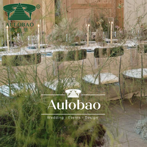 Chaises modernes de mariage d'acier inoxydable de conception pour la mariée et le marié président - Product Image 2