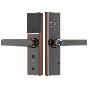 Greatpoly Automatic Biometric Lock Ic Card Wifi Combination Home Security Lock Home Apartment Smart Lock