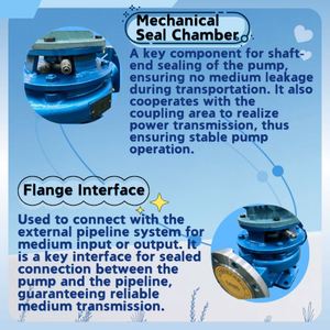 Sanitary Grade Material Pollution Proof Electropolished Suitable for Water for Injection Vertical Multistage <b>Pump</b> - Product Image 3