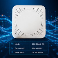 Estación Base LTE para Interiores Dual Carrier 4x250mW CBRS ENodeB B48 290Mbps de Alta Capacidad para 256 Usuarios con PoE+ Integrado de Celda Pequeña