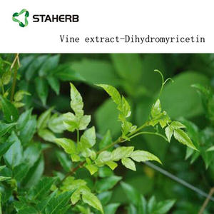 Diidromiricetina <span class=keywords><strong>DHM</strong></span> estratto di tè 98% vite - Product Image 3