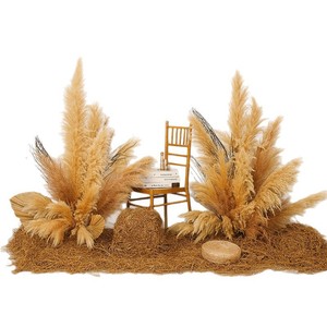 Fleurs séchées Yuan Nuo 30cm-100cm, base de fleurs en soie pour décoration de mariage, vitrine de magasin, séances photo, vente en gros - Product Image 5