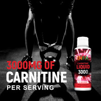 Complément Nutritionnel Sportif de Qualité Supérieure L-Carnitine Liquide Oral 3000mg – Boisson Énergisante à la Carnitine pour Adultes