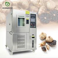 Machine de Fermentation Commerciale Japonaise Entièrement Automatique pour l'Étuvage de l'Ail Noir, Capacité 100 kg, à Vendre
