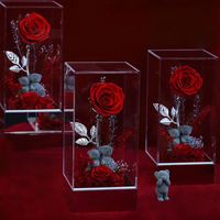 Fluwelen Roos Beer Teddy Acryl Box Beste Huisdecoratie Geconserveerde Rozen Voor Afstuderen Thanksgiving Kerst Valentines Dag
