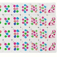 Nouvel Arrivage : Ensemble de Mahjong Élégant et Unique en Écaille de Tortue Florale pour le Divertissement à Domicile