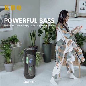 Karaoke portátil Altavoz Bluetooth profesional con pantalla de tubo digital Radio de música baja para fiesta en casa KTV - Product Image 6