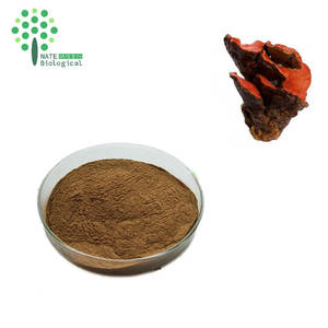 Haute teneur en triterpène Antrodia Camphorata extrait poudre Premium champignon champignon plante supplément - Product Image 1