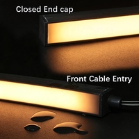 Bandes LED encastrées entièrement noires étanches IP67 DC24V pour matériaux en silicone, garantie 5 ans, CRI 90, acoustique