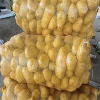 Groothandel op maat bedrukte Leno mesh zakken van PP voor exportverpakkingen van dadels, aardappelen, uien en fruit.