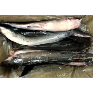 <span class=keywords><strong>ปลา</strong></span><span class=keywords><strong>ด</strong></span>ุกแช่แข็ง lqf - Product Image 3