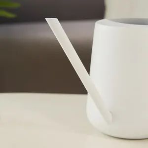 Arrosoir d'intérieur de 900 ml avec long bec verseur, poignée en bois confortable, arrosoir en acier inoxydable pour plantes d'intérieur - Product Image 5