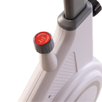 Mini équipement magnétique de forme physique de vélo d'exercice en acier de gymnase de cyclisme commercial populaire pour le vélo stationnaire de rotation à vendre