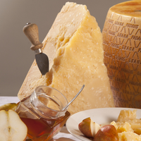 Italian Excellence Fromage de lait de vache dur vieilli 10 mois pour Grana Padano Saveur riche et douce Additifs de présure Emballage en sac