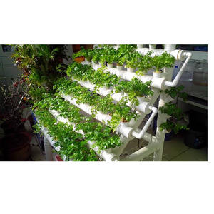 Casa verde nft tubo hidropónico hongo invernadero granja - Product Image 1