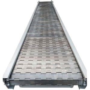 Convoyeur à plaques en acier inoxydable pour la transformation des frites et la déshydratation des légumes, ligne de refroidissement en acier au carbone - Product Image 1