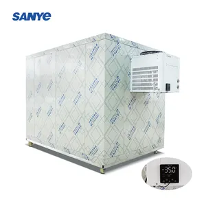 Walk In Freezer Storage Cold Storage Refrigeration Cooler With Monoblock Unit