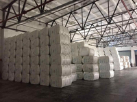 Fibre de Nylon 6 Sinopec Chine 2dx51mm Haute Ténacité 4.2cn Dtex Qualité Stable